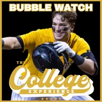 The College Baseball Experience artwork