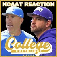 The College Baseball Experience artwork
