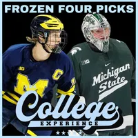 The College Baseball Experience artwork