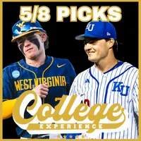 The College Baseball Experience artwork