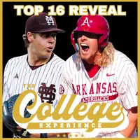The College Baseball Experience artwork