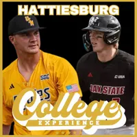 The College Baseball Experience artwork