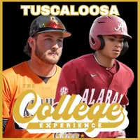 The College Baseball Experience artwork