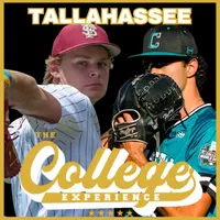 The College Baseball Experience artwork