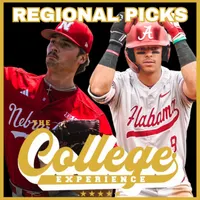The College Baseball Experience artwork
