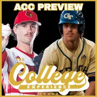 The College Baseball Experience artwork