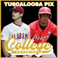 The College Baseball Experience artwork