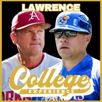 The College Baseball Experience artwork