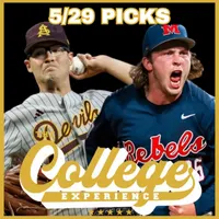 The College Baseball Experience artwork