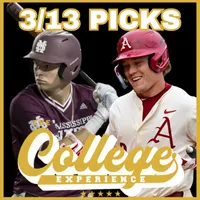 The College Baseball Experience artwork