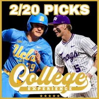 The College Baseball Experience artwork