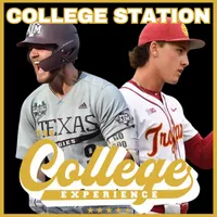 The College Baseball Experience artwork