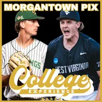The College Baseball Experience artwork