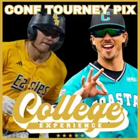 The College Baseball Experience artwork