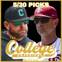 The College Baseball Experience artwork