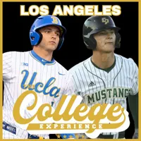 The College Baseball Experience artwork