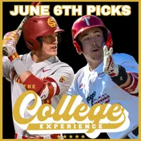 The College Baseball Experience artwork