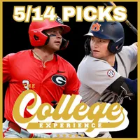 The College Baseball Experience artwork