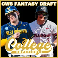 The College Baseball Experience artwork