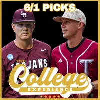 The College Baseball Experience artwork