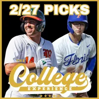 The College Baseball Experience artwork