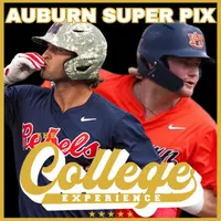 The College Baseball Experience artwork