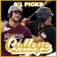 The College Baseball Experience artwork