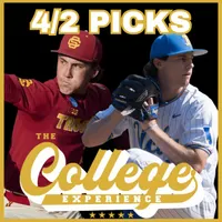The College Baseball Experience artwork