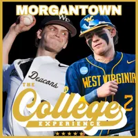 The College Baseball Experience artwork
