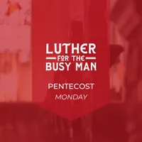 Luther for the Busy Man artwork