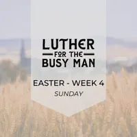 Luther for the Busy Man artwork