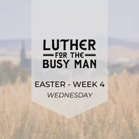 Luther for the Busy Man artwork