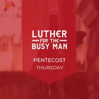 Luther for the Busy Man artwork