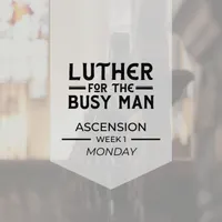 Luther for the Busy Man artwork