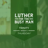 Luther for the Busy Man artwork