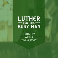 Luther for the Busy Man artwork
