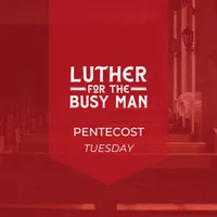 Luther for the Busy Man artwork