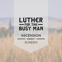Luther for the Busy Man artwork