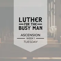 Luther for the Busy Man artwork