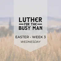 Luther for the Busy Man artwork