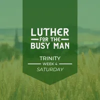 Luther for the Busy Man artwork