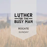 Luther for the Busy Man artwork