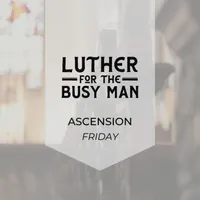 Luther for the Busy Man artwork