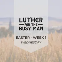 Luther for the Busy Man artwork