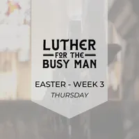 Luther for the Busy Man artwork