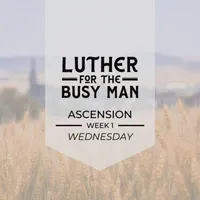 Luther for the Busy Man artwork