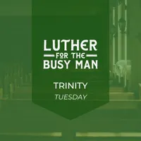 Luther for the Busy Man artwork