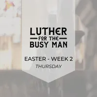 Luther for the Busy Man artwork