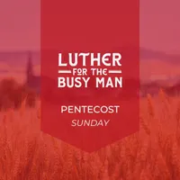 Luther for the Busy Man artwork