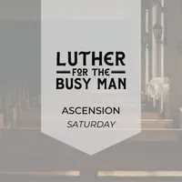 Luther for the Busy Man artwork
